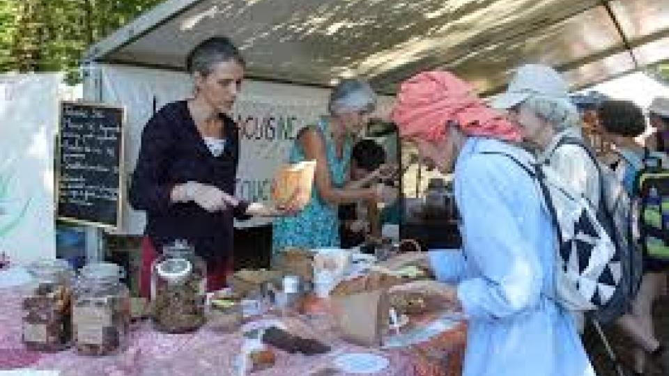 Fantastic picnic