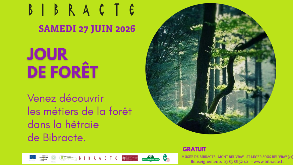 jour de forêt